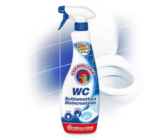 CHANTE CLAIR WC pěnový čistič 625 ml